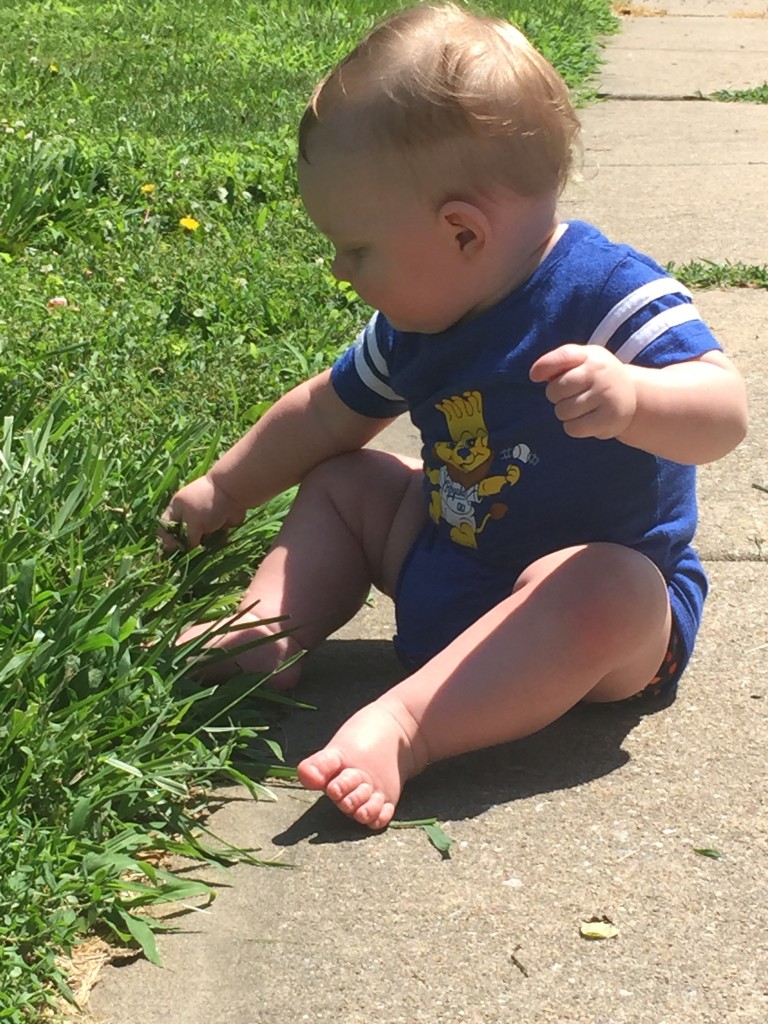 I've discovered the joy of grass!